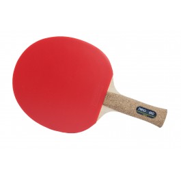 Neottec 1000c