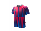 Vaata Table Tennis Clothing Xiom Shirt Anima Magenta