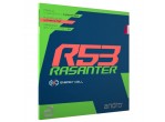 Vaata Table Tennis Rubbers Andro Rasanter R53