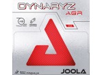 Vaata Table Tennis Rubbers Joola Dynaryz AGR
