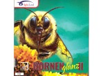 Vaata Table Tennis Rubbers Spinlord Dornenglanz II