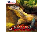 Vaata Table Tennis Rubbers Spinlord Waran